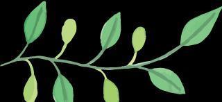 缓解|新训进行时丨暖心“家乡菜”,缓解思乡一步到“胃”