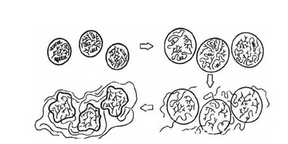 豆腐|瘦肉咬不动记住4个技巧,猪肉嫩滑如豆腐,大厨教你正确嫩肉方法