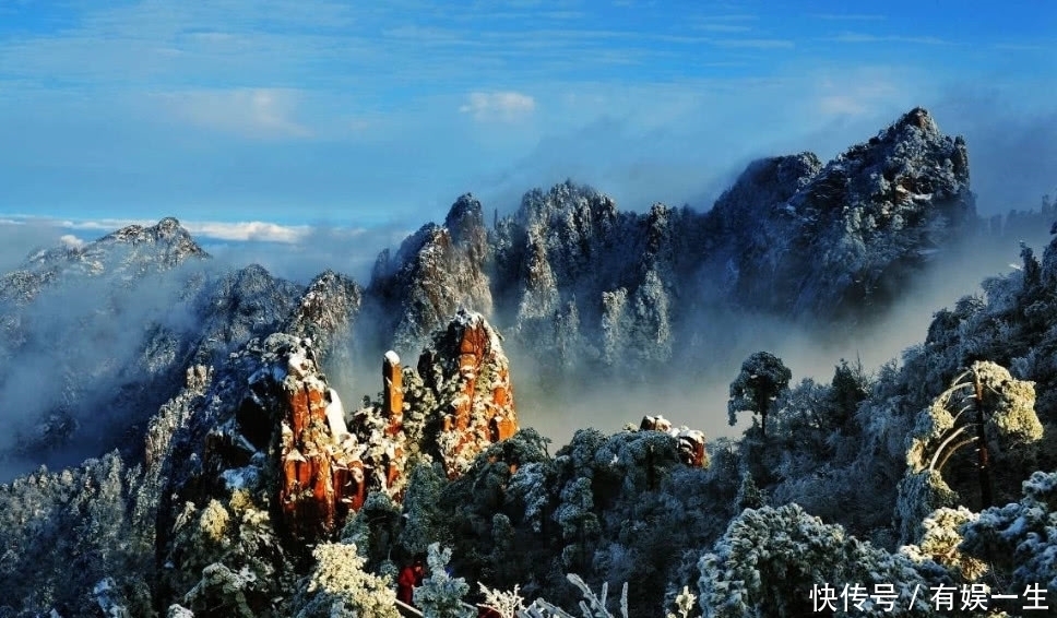 这颗最“假”的树,一个姿势保持八百年,还有专人看护