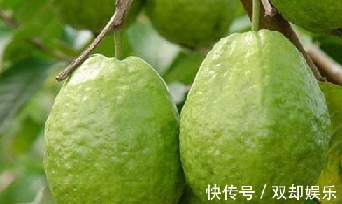 葡萄|想长寿要会吃,坚持吃几种食物,养颜嫩肤,排毒清肠,排毒清肠