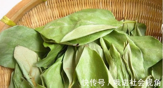 抵抗力|吃了不显老的食物,女性看过来,养护血管,增强抵抗力,肌肤好