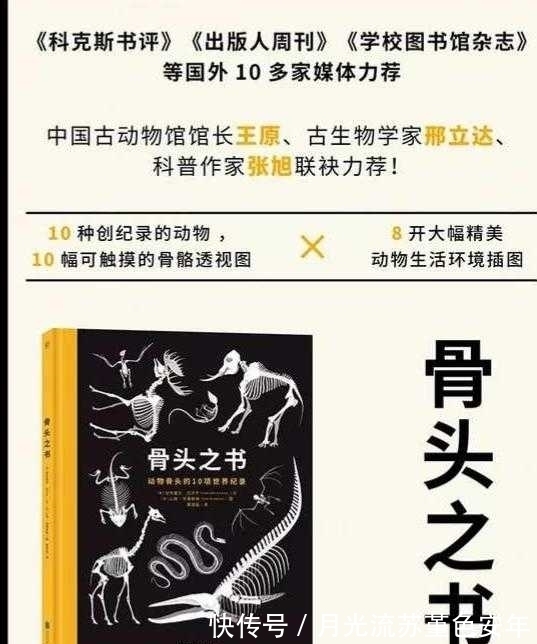 动物|这本书得出了动物骨头的10项世界纪录，带你探寻动物骨头的奥秘