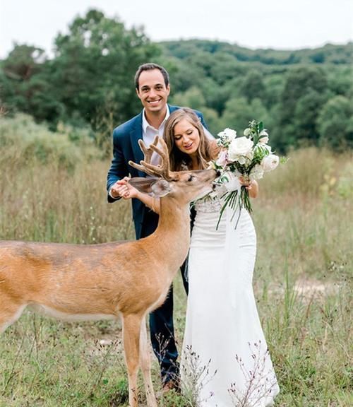 小鹿闯入婚纱照拍摄现场，抢夺新娘手中玫瑰，多么美妙的惊喜！