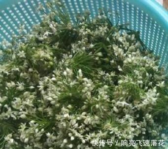 花菜放了几天开花了能吃吗