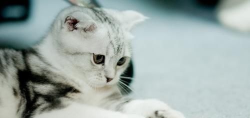 生日|生日尾数是几的孩子,一生注定不平凡,出人头地,父母少操心