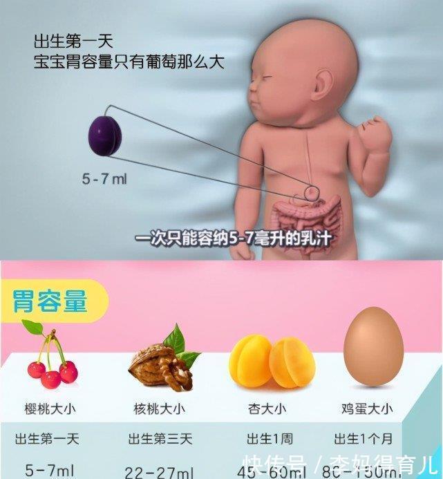 京妈|6个新生儿喂养问题:啥时候喂、怎么喂、如何看是否吃饱?别喂错