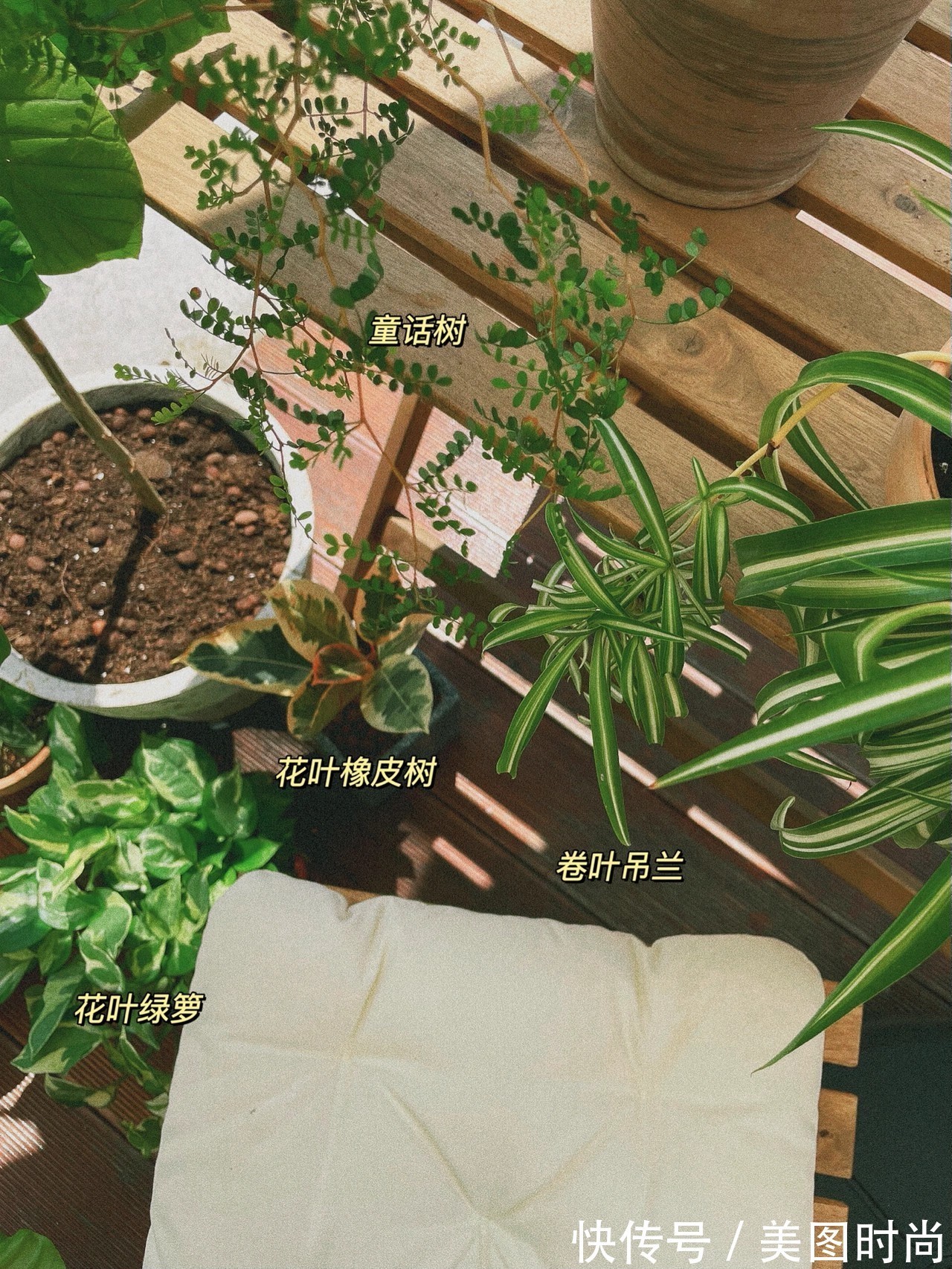 花园|花了两万块，用了7天时间改造40㎡一楼花园，分享花园改造过程