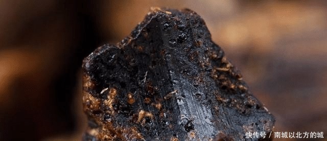 为什么很多极品沉香是来自日本!