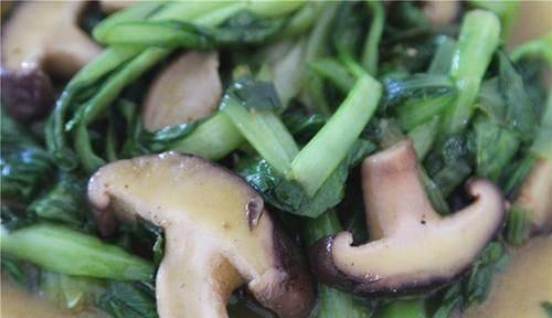 吃好|O型血的人多吃肉，A型血多吃素，是真的吗?不同血型，怎么吃好?