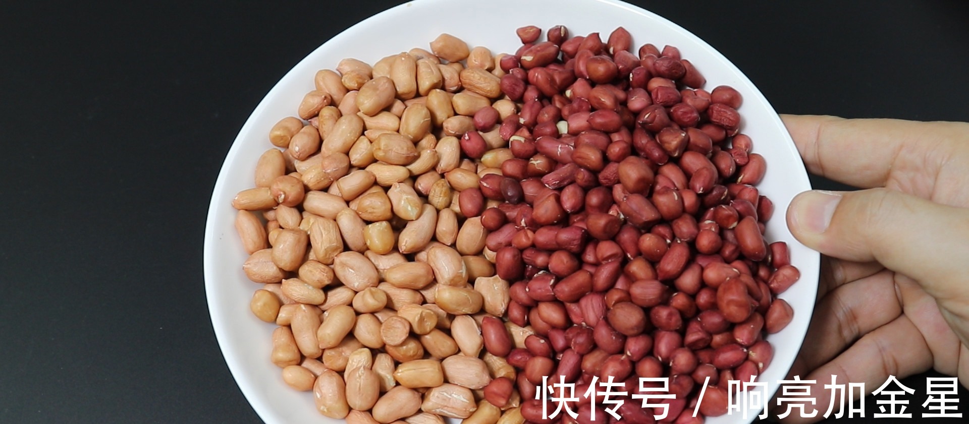 小白点|红皮花生米和白皮花生米,哪一个更有营养好多人不懂,长见识了!