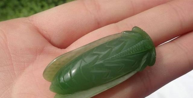 自称|女子带玉蝉参加鉴宝,自称已戴十几年,专家看后你胆子真大