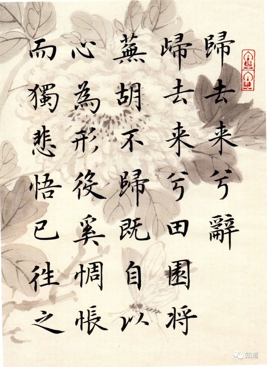 归去来兮辞&书法不可以自学,自学就等于自杀。书法培训老师都这么说