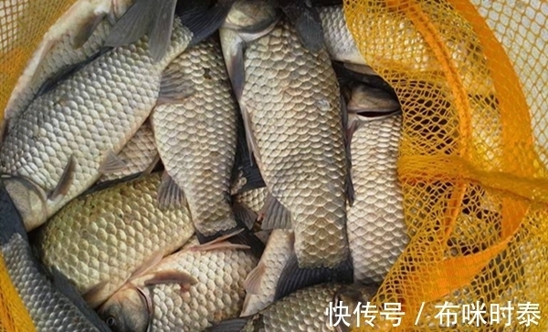 寒冬时节鲫鱼在深水,这些钓法更适合钓远,钓获大鲫鱼更容易!