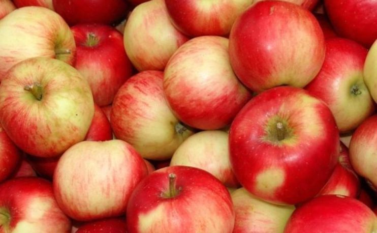 苹果|苹果早上吃好，还是晚上吃好？吃苹果的正确时间？很多人都吃错了