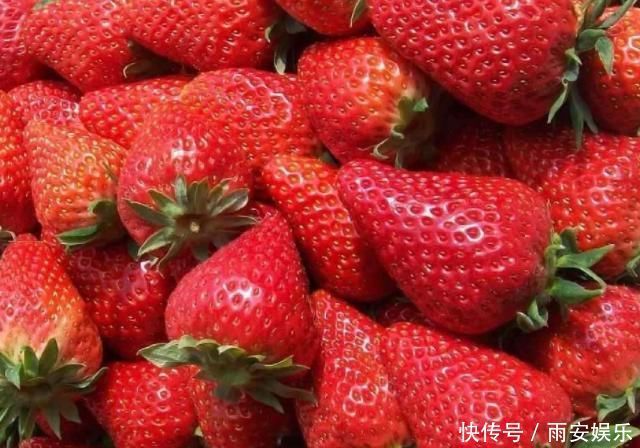 怀孕期间,孕妈妈薪水少还要懂得多吃4物,将会对胎儿大脑发育有益处