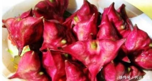 美容|有益健康的食物,男女坚持吃,清理血脂,软化血管,美容肌肤