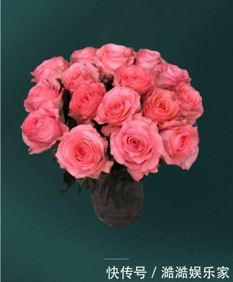 粉玫瑰戴安娜,梦幻感十足,让人无法抗拒的颜色