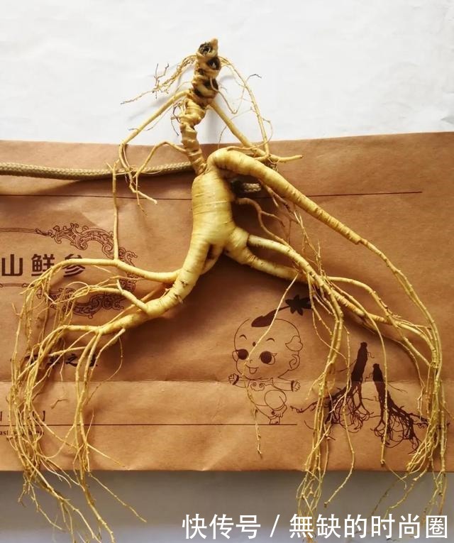 人参煲鸡汤|关东第一大补汤