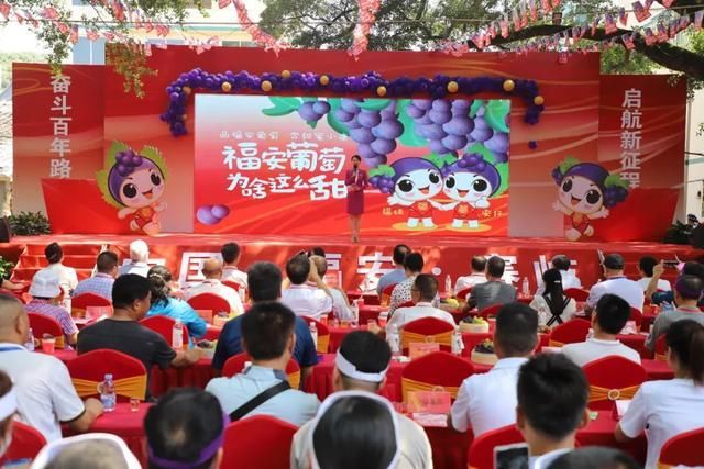 家庭巨峰葡萄种植方法