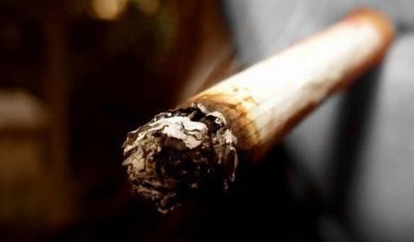 “长寿”的人,会有“2厚3薄”的特征,若你也有,恭喜你!