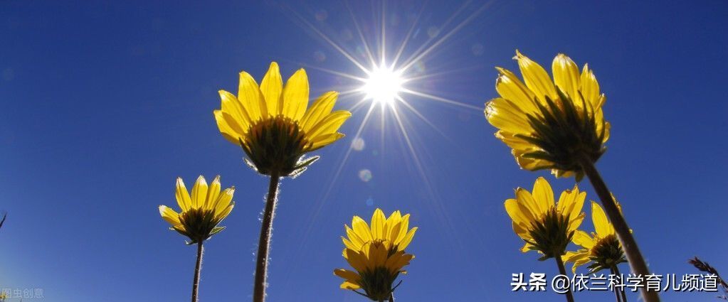 感冒|就算夏天再炎热,孩子的这3个地方也要注意,家长快来记住