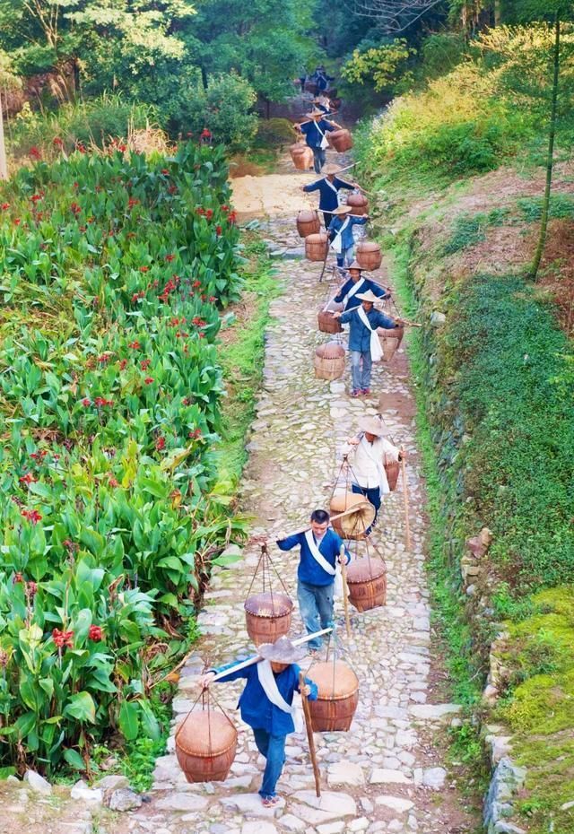  山间|此生必走一次缠绕浙闽山间的千年古道，真正的好山好水，遗世独立