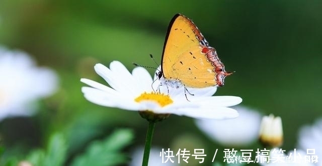 放手|6天后，云淡淡，风轻轻，追回旧爱，续写深情，再不放手