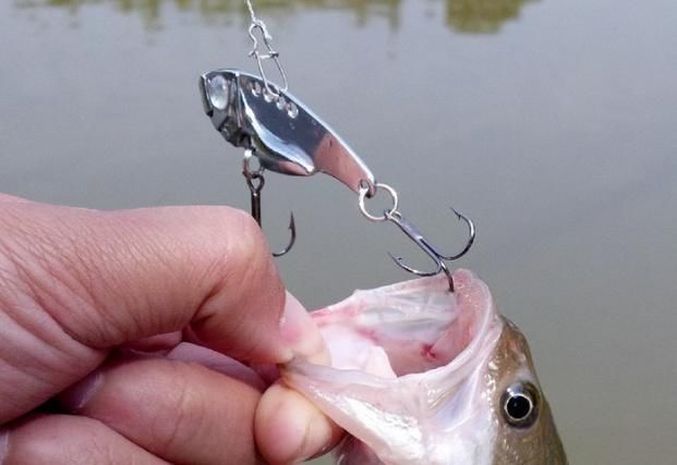 农村人钓鱼竟用这五种饵料,第一种城里人想不到!你用过几种?