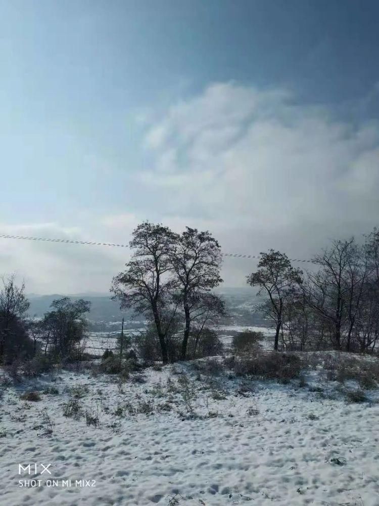 初雪|缑瑞芳‖初雪，那一抹浅忆