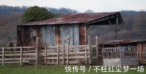 生肖|进入8月，钱财大赚，3生肖“好孕”难挡，做梦能笑醒