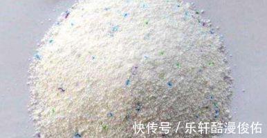 红蜘蛛|花盆里有虫子，有人竟然喷洗衣粉液，撒风油精，连蚊香也用上了