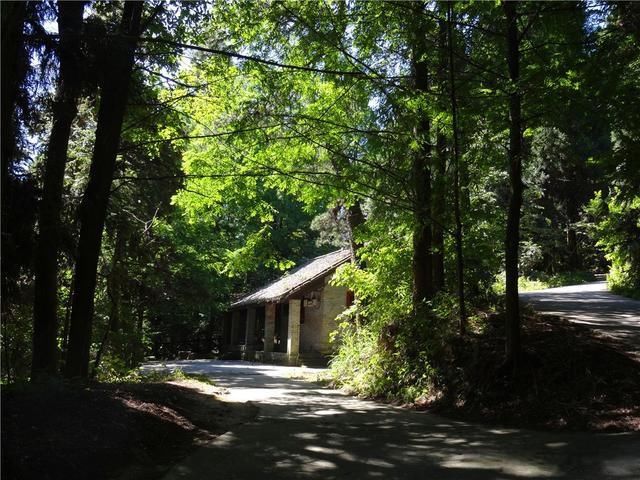 神农洞|赤日炎炎哪里去，快来湖北谷城大薤山来避暑吧