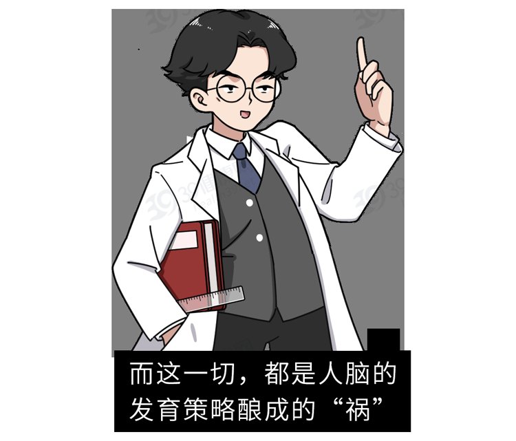 颅骨|大脑又软又糯，为什么我们可以摇晃翻滚，脑子不会烂成一团？