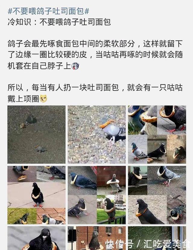 |搞笑图片：当大家都在担心人工智能将要统治世界的时候。