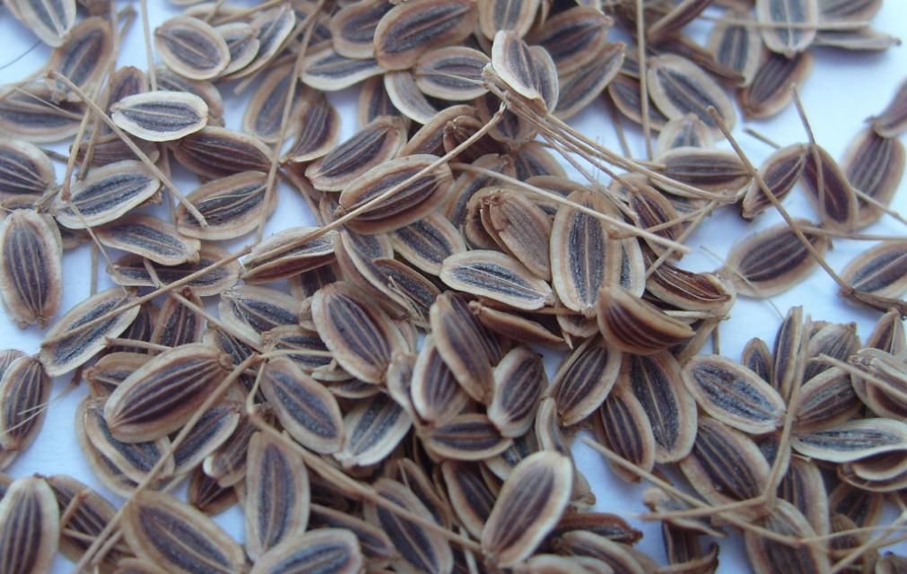  介绍|57种香料特性介绍喜欢的收藏