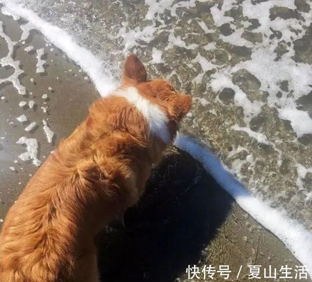 照片&这些照片巧妙得非常艺术,处女座看了很过瘾,连蛇也有“强迫症”