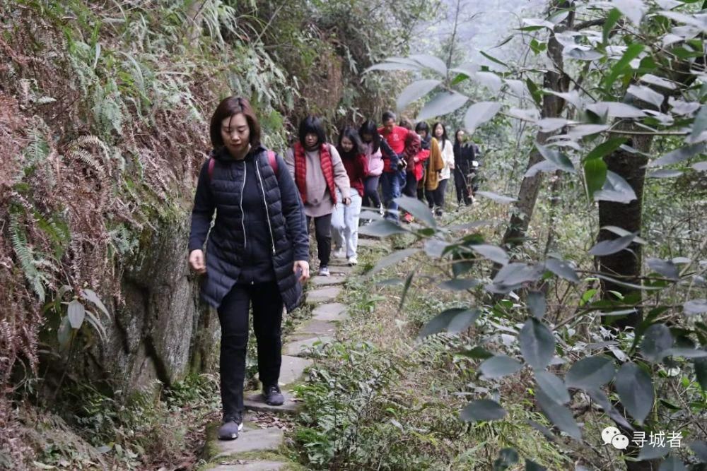 更喜南山千倾野，卅公里后尽开颜