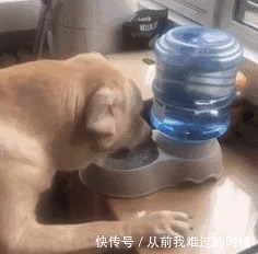 |搞笑GIF：连公司主管都这么搞笑了，这职场混得多有趣啊