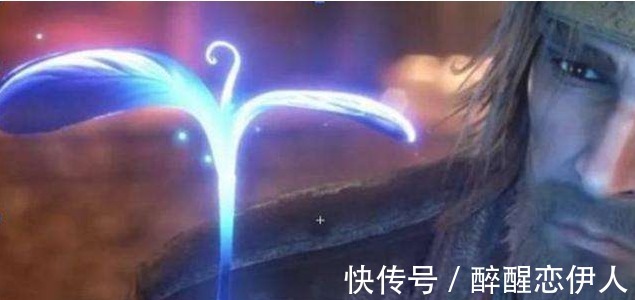 斗罗大陆|斗罗大陆五种蓝银草的形态 蓝银皇不算啥 龙神附体才可怕！