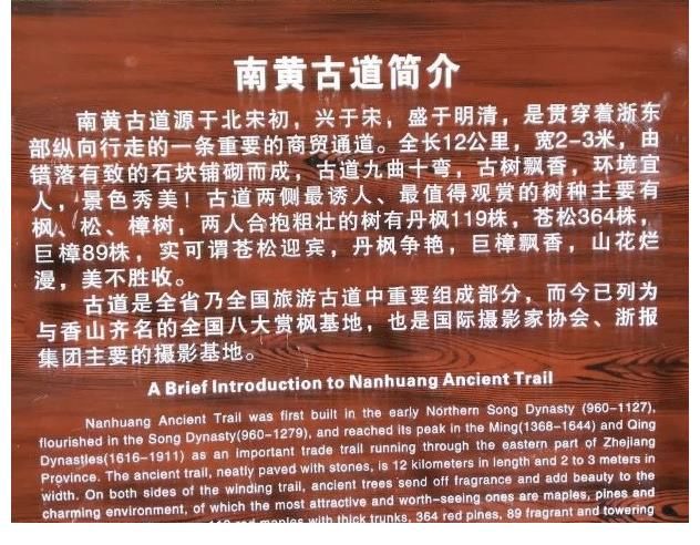 杨村|秋季已经完全到来，浙江秋季旅游哪里去？来一条人少沧桑古道吧！