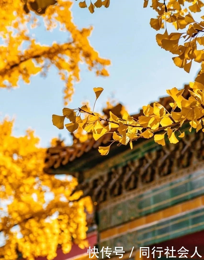 「美妆江湖」故宫四季,绝色中国