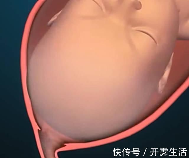 拉玛泽|顺产到底有多“疼”看到第3张图,也许你会明白