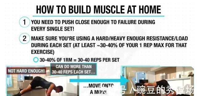 肌肉|一套完整实用的「居家健身」指南,0器械练遍全身肌肉