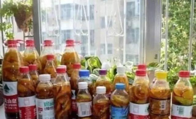 君子兰|养花30年老花匠的5个“小秘方”赶紧学起来再也不怕养花出问题了