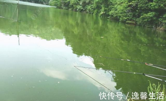 西南风|天刮西南风气死老钓翁野钓风向对鱼获影响知多少