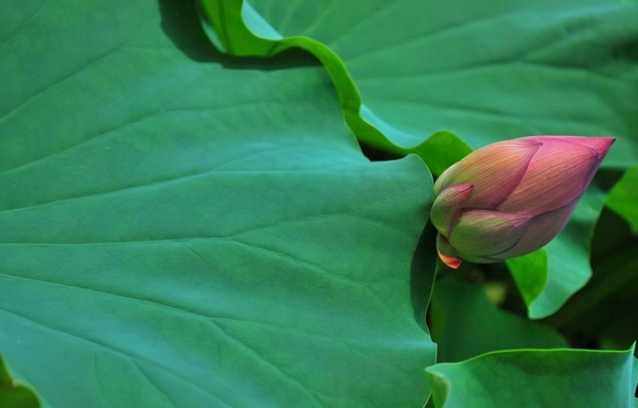 道理@一个人欲成大事,请记住这三个道理,少走弯路