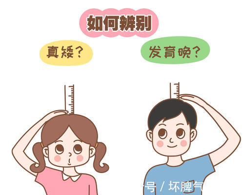 个子|孩子个子矮,究竟是“真矮”还是“发育晚”?家长可根据3点辨别
