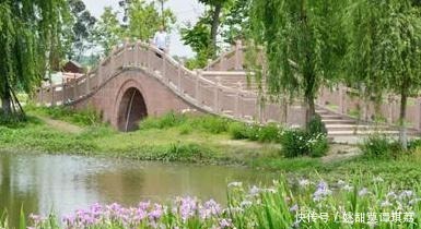 比兴|嵇康的一首四言诗,采用比兴手法,更充满闲情逸致