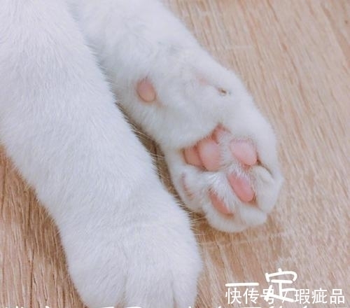 |搞笑段子:我就是想知道:到底是哪位大佛挖的墙角。