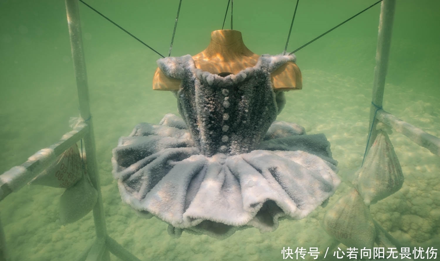 发生|这些物品被扔进死海里,再捞出来的时候发生了巨大的变化!